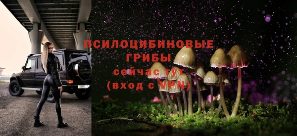 apvp Алексеевка