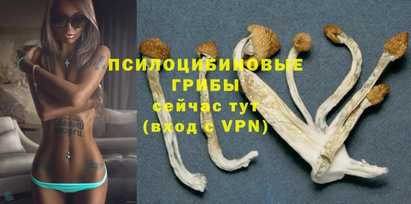 герыч Алзамай