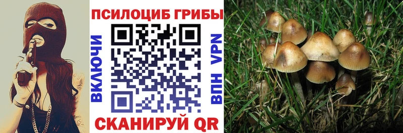 Псилоцибиновые грибы мухоморы где купить наркоту Нерчинск
